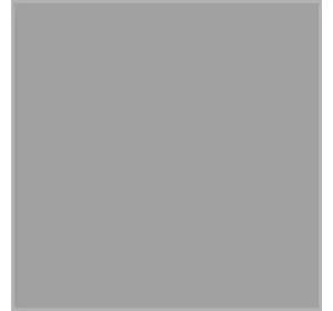 Медогонка (комби) хордиально-радиальная МРК-48/9кас(230мм), 220В, Бистар